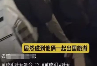 黄晓明官宣恋情，我却笑死在叶珂的评论区里