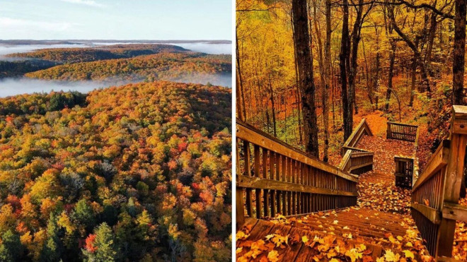 Fall foliage covered in mist. Right: A staircase through a fall forest.