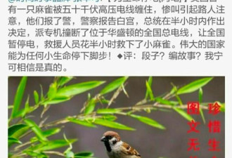 洗脑了一代中国人的毒鸡汤 如今快给老外忽悠瘸了