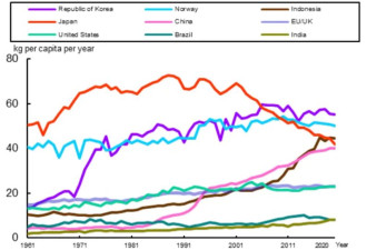 失去中国一年，日本水产业到底如何？