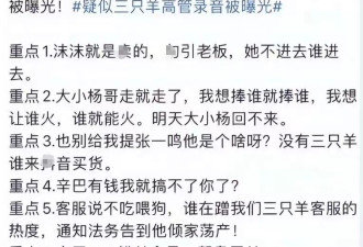 “三只羊录音门事件”，大杨嫂发声惹争议