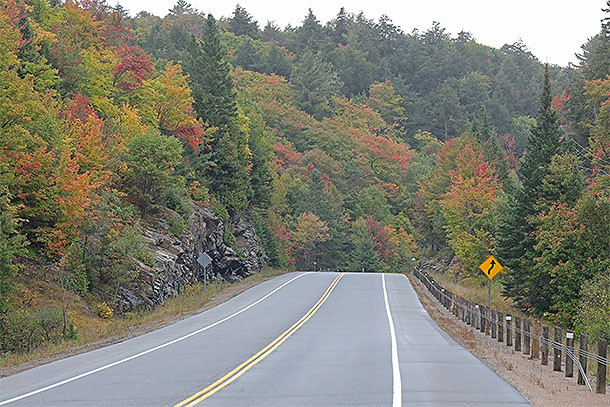 Fall colour along Highway 60 in Algonquin Park on September 24, 2024.