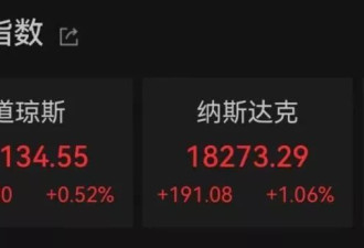 外资集体唱多 纳斯达克中国金龙指数罕见涨超10%