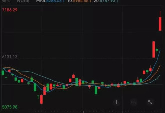 外资集体唱多 纳斯达克中国金龙指数罕见涨超10%