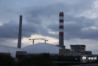 华东区域最大燃煤发电厂遭遇“海蜇危机”