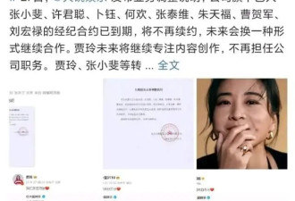 大碗娱乐名存实亡，贾玲到底要干什么？