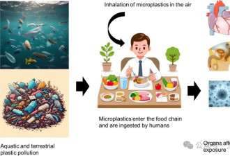 中国男子精液和尿液中微塑料含量惊人