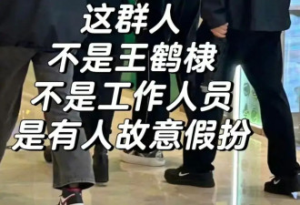 刘涛被老公害惨的瓜？杜淳也娶到假名媛？