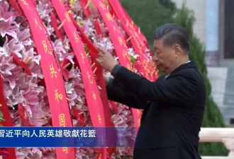 习近平头发花白 带领众领导人敬献花篮