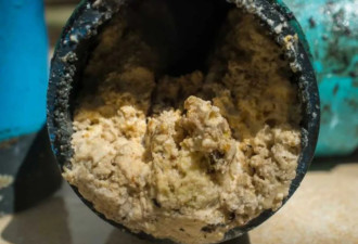 列治文挖出70立方地沟油，别再往下水道倒剩菜汁了！