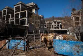 这现象还在蔓延，习近平的强刺激踢到铁板