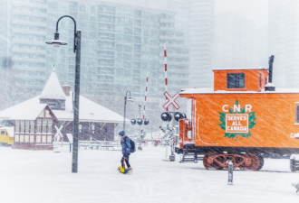 -20℃极寒！加拿大正式进入冬季：多个省份迎来霜冻+10cm降雪！