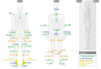 复旦团队脑脊接口研究获突破:瘫痪者有望重新行走