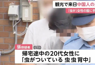 33岁中国男子来日本旅游，刚到机场就被捕！因...