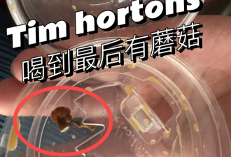 恶心吐了！万锦华人喝Tim Hortons杯底惊现“养生猛料”！