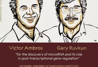 诺贝尔生医奖揭晓！美国2名生物学家获奖