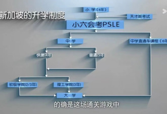 中国娃论文被国外教授打0分 看完这部纪录片懂了