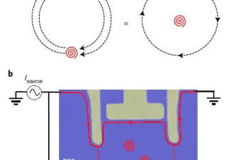 2024年诺贝尔物理学奖候选：任意子，3桃N士....