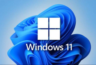 最新版Windows11删除29年经典功能