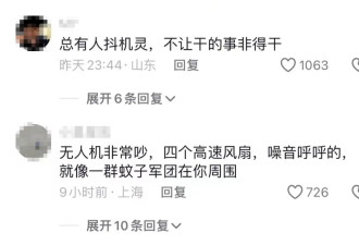 游客放无人机吓到大熊猫，工作人员将其一杆打落