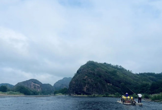 “遮蔽”不会带来安全感