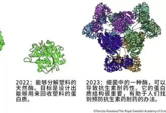 AI凭啥又得化学奖？就凭它半小时干完了几年的活