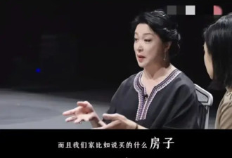 金星透露复婚原因:婆婆希望汉斯能给金星一个保障