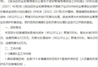 野猪致害26省，多地招募“野猪猎人”！