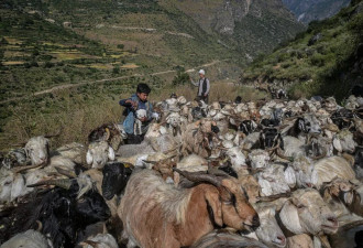 纽约时报：中国边境&quot;新长城&quot;蚕食尼泊尔领土？