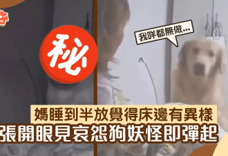 夜半感到被某人盯著 开灯看到“他”站在身边：饿坏了