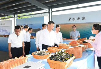 习近平在福建漳州市东山县考察调研.....