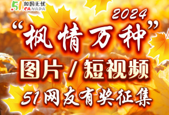 51网有奖征集“赏枫”照片/短视频活动正在进行：大量奖品等你来领