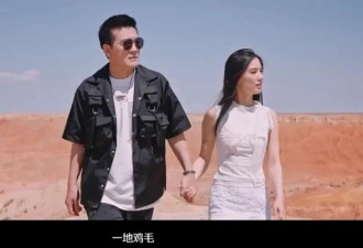 终于知道黄圣依为什么想离婚，和杨子已分居