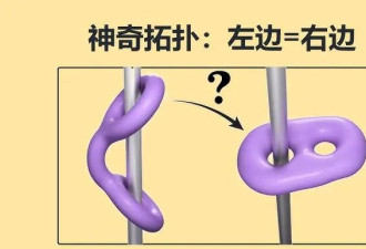 国内考不上大学在法国读博：幸运的多动症孩子