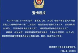 一家三口被撞身亡案：司机&quot;涉危害公共安全罪&quot;