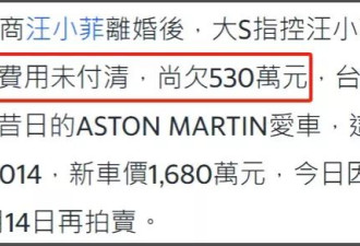 大S卖车逼前夫掏赡养费，遭台湾网友抨击太丢人
