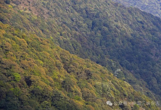 前方高能！哀牢山，有妖气