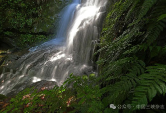 前方高能！哀牢山，有妖气