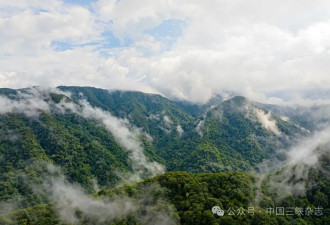 前方高能！哀牢山，有妖气