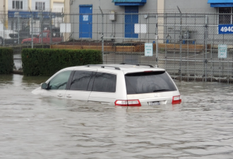 狂暴！大温发洪水 街道变大河独立屋淹惨 汽车被冲走 万户大停电