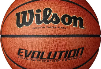 Wilson Evolution 室内比赛篮球，官方 - 尺码 29.5