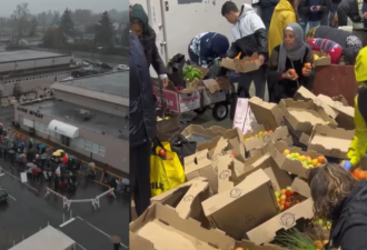 &quot;加拿大被搞垮了&quot;! 1.5万人排长龙!男女老少出动,雨中苦等几小时!