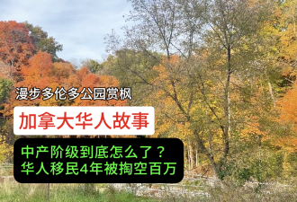 华人男子移民加拿大4年被掏空百万！从老板沦落到刷碗洗盘子糊口