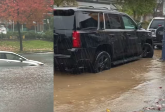 温哥华今明90km/h强风接暴雨 做好停电防涝准备