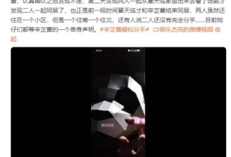 辛芷蕾方疑似回应分手：远离私生活我姐独美