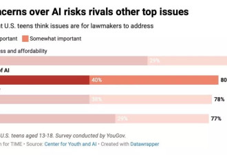 沉迷AI聊天？不，美国青少年最担心AI的虚假信息