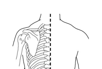 身上有4个“补阳开关” ！一按一揉，腰背不痛
