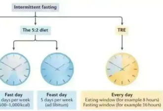 轻断食再“封神” 仅一周饿2天！