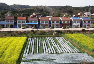 看好你的“宅基地”：为什么地方在鼓励农民放弃它?