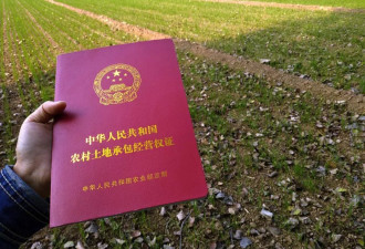 看好你的“宅基地”：为什么地方在鼓励农民放弃它?